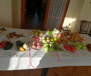 Výstava ovocia a zeleniny 2020